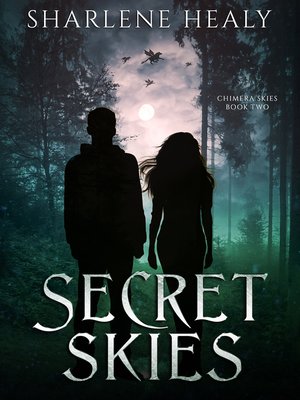 cover image of Secret Skies